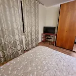 Orchidea Monfalcone